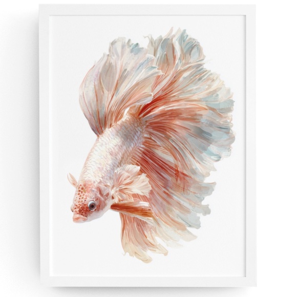 Creative Path Studios Other - Watercolor Betta Fish Wall Art Print, Unframed - Vibrant Aquatic Elegance